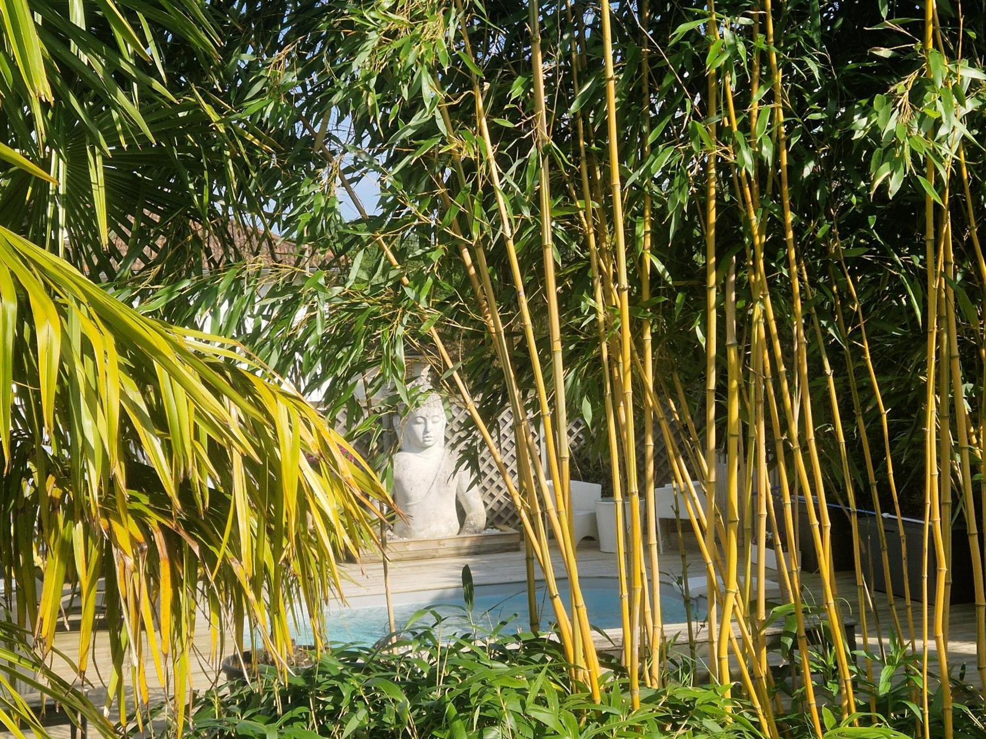 La Serenite Balinaise, Chambre Et Sdb Privee, Jardin , Piscine Et Jacuzzi En Saison, Pres De Chantilly, Parc Asterix Et Cdg Et Paris En 20' Orry-La-Ville Eksteriør bilde