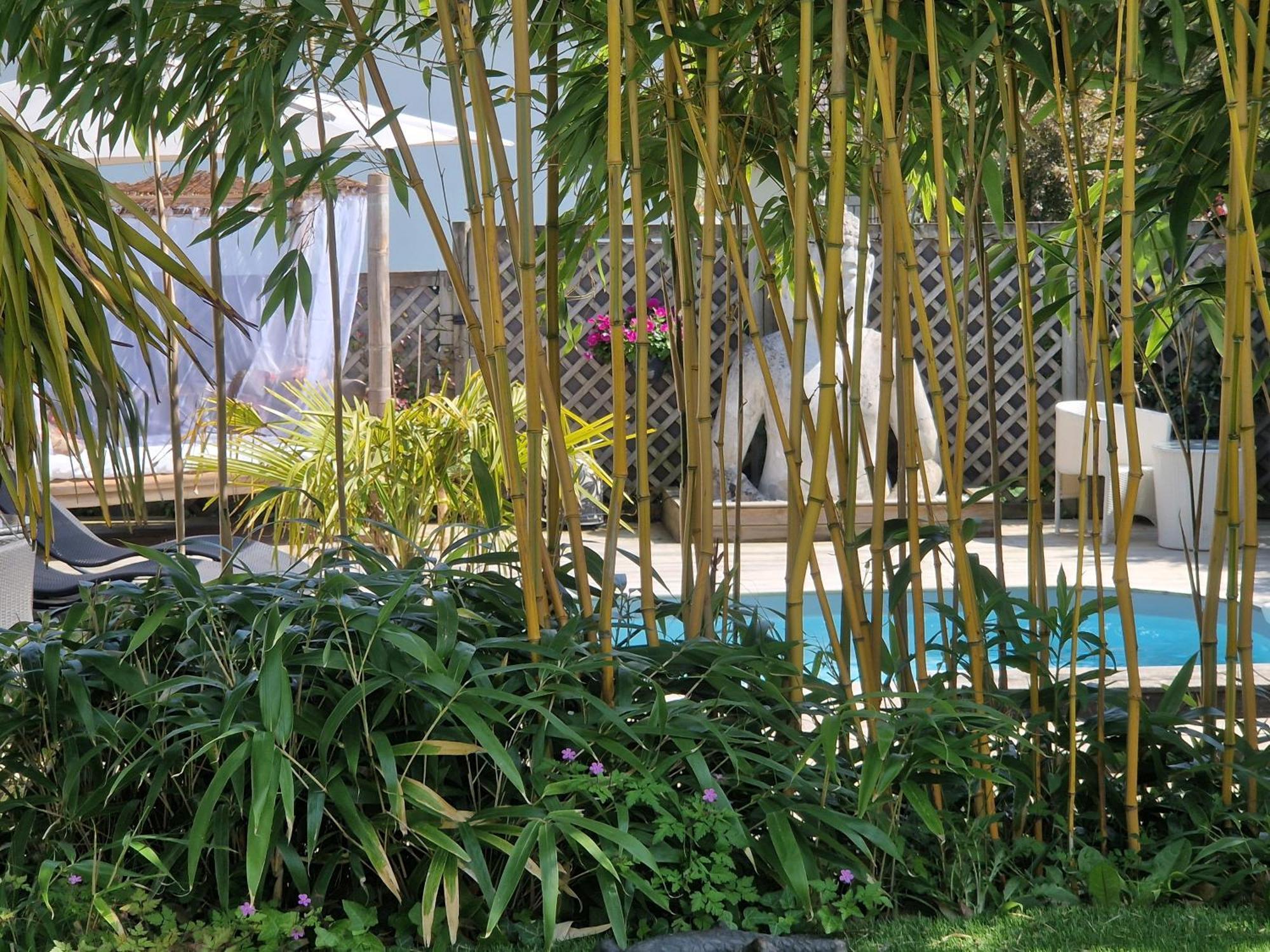 La Serenite Balinaise, Chambre Et Sdb Privee, Jardin , Piscine Et Jacuzzi En Saison, Pres De Chantilly, Parc Asterix Et Cdg Et Paris En 20' Orry-La-Ville Eksteriør bilde